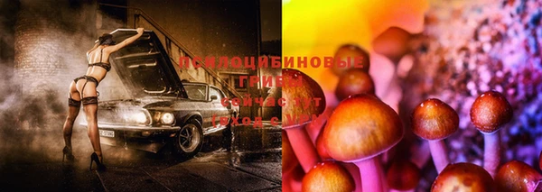 прущая мука Алексеевка